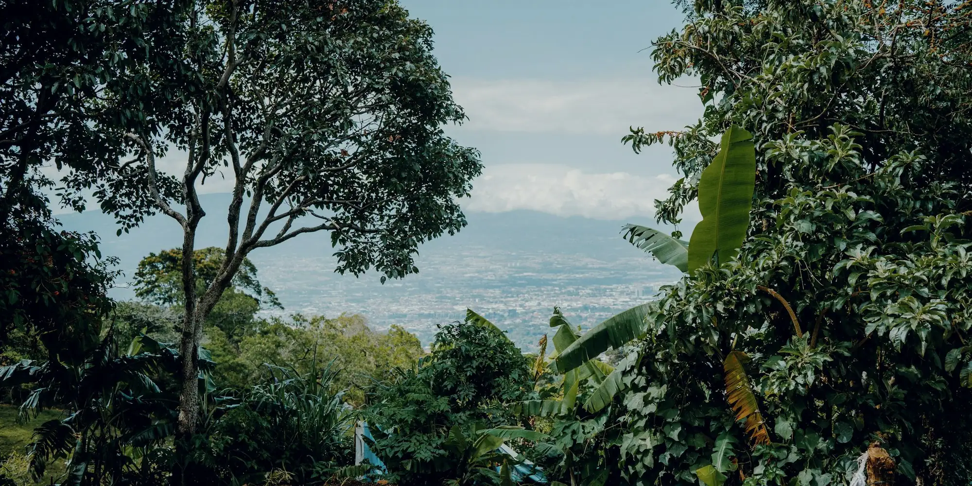 The view from an unbuilt hillside lot in Costa Rica: trees, a valley and a city below.